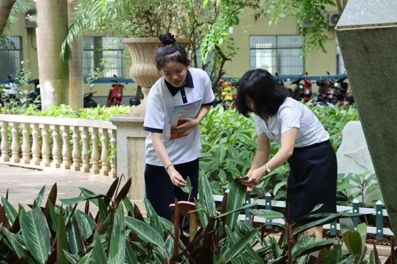 文明校园创建昌江中学文明之花绽放校园