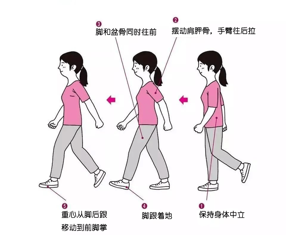 图片来源:网络正确走路姿势走路的时候,抬头挺胸,下巴微收,双肩自然