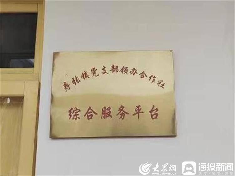阳谷寿张镇党支部领办合作社综合服务平台创新服务机制助力村集体增收