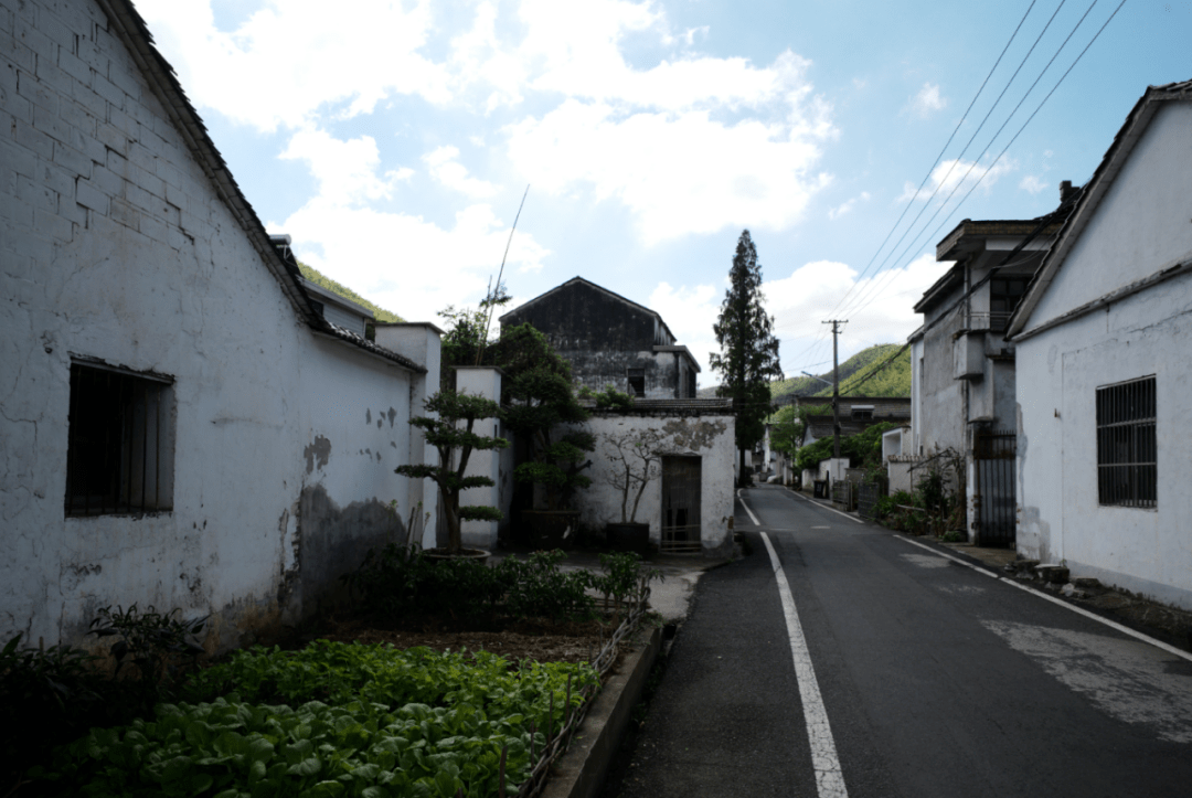 同时,还将村里的红色资源串点成线设计了多条红色文化旅游线路如今的