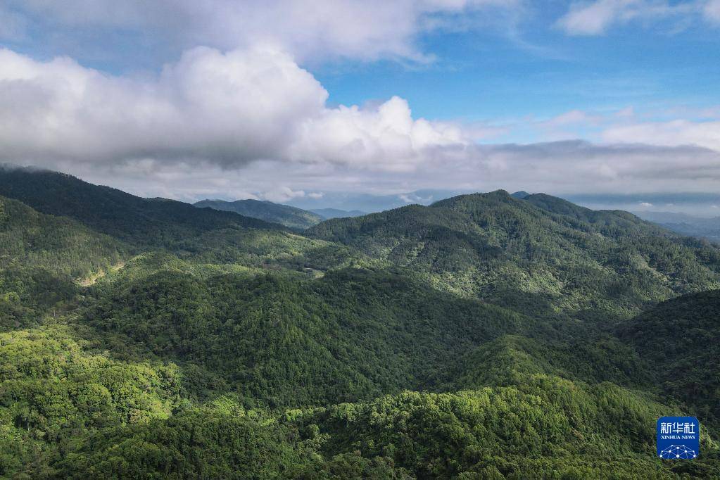 天空之眼瞰五指山【图】