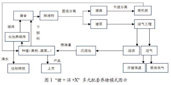 閱讀【主題策劃】種養結合養豬發展模式探討與分析_循環_農業_沼氣池