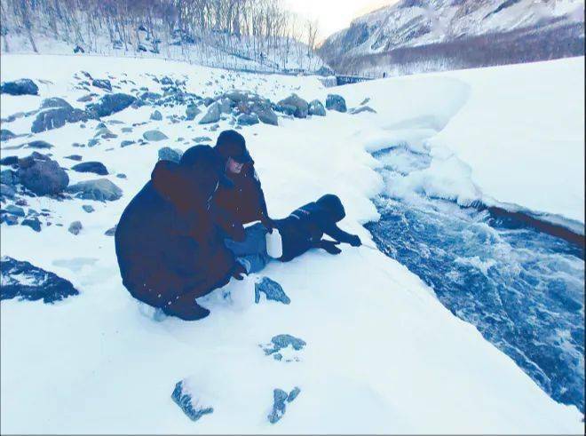 “爬冰卧雪”忙采样