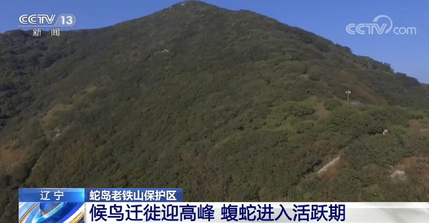 以千島湖蛇島為例.