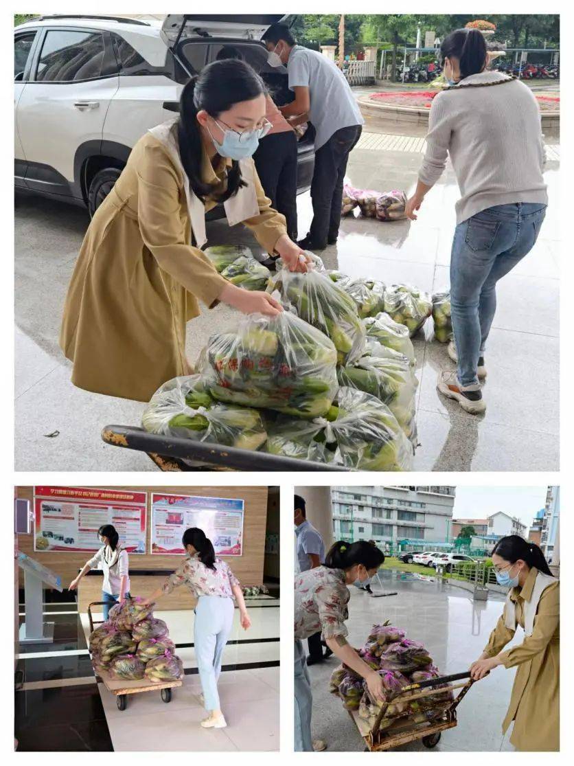 在获悉共建单位扬美村村民请求帮忙认购爱心玉米的诉求后,动员干部