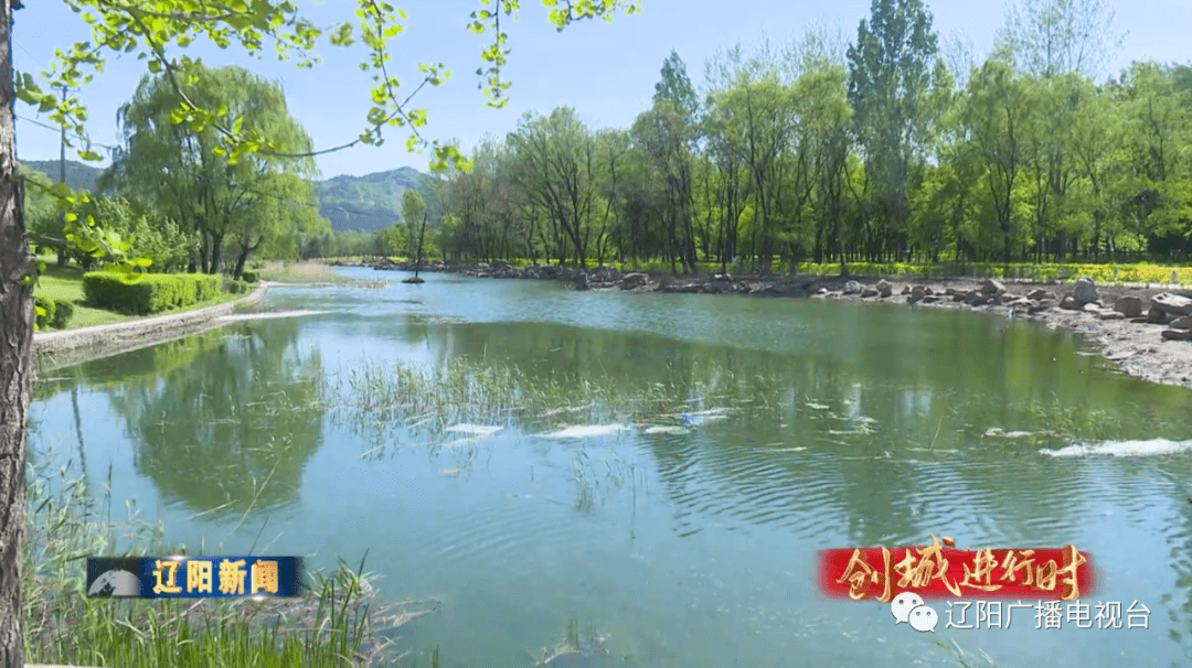 弓长岭区网站建设_(弓长岭区领导班子成员)