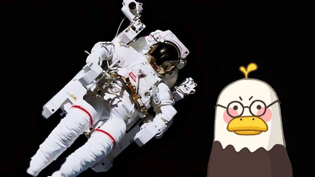 我已出舱,感觉良好漫游太空的嘤鹰向你发来网课邀请tips怎样更换网课