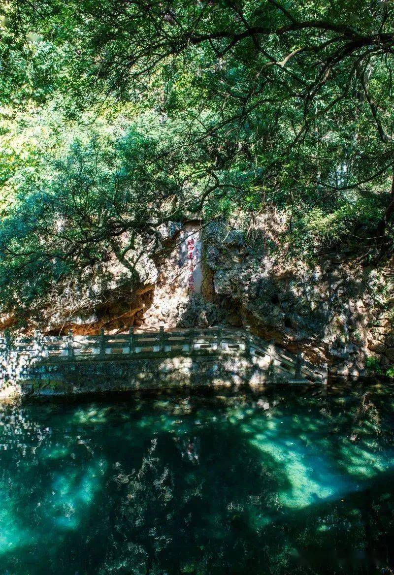 玉溪九龙池公园免票通告_工作_防控_疫情