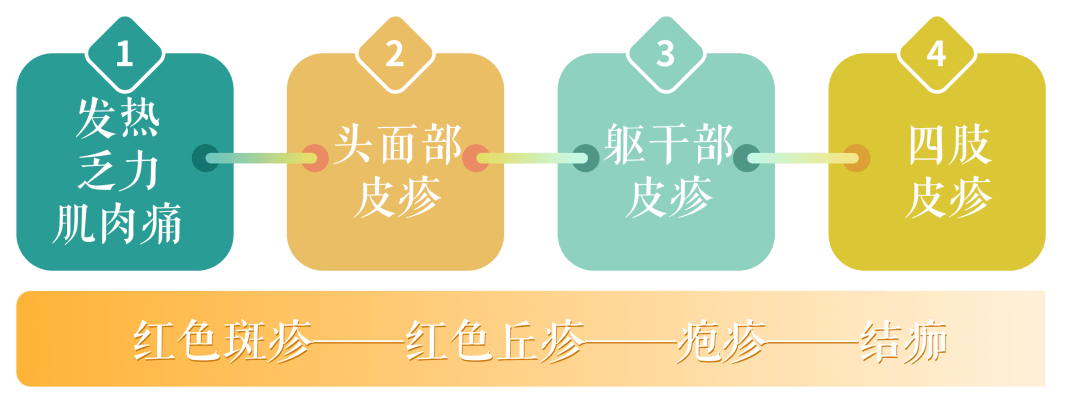 症状顺序↓↓↓↓戳图查看水痘症状水痘是由水痘病毒引起的急性呼吸道