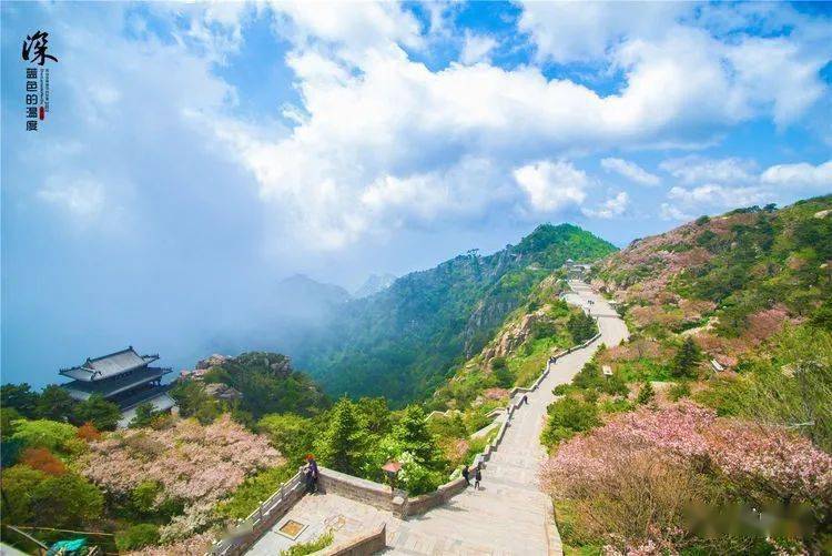 周末又是好天气,游山玩水走起来_泰山_徂徕_图片