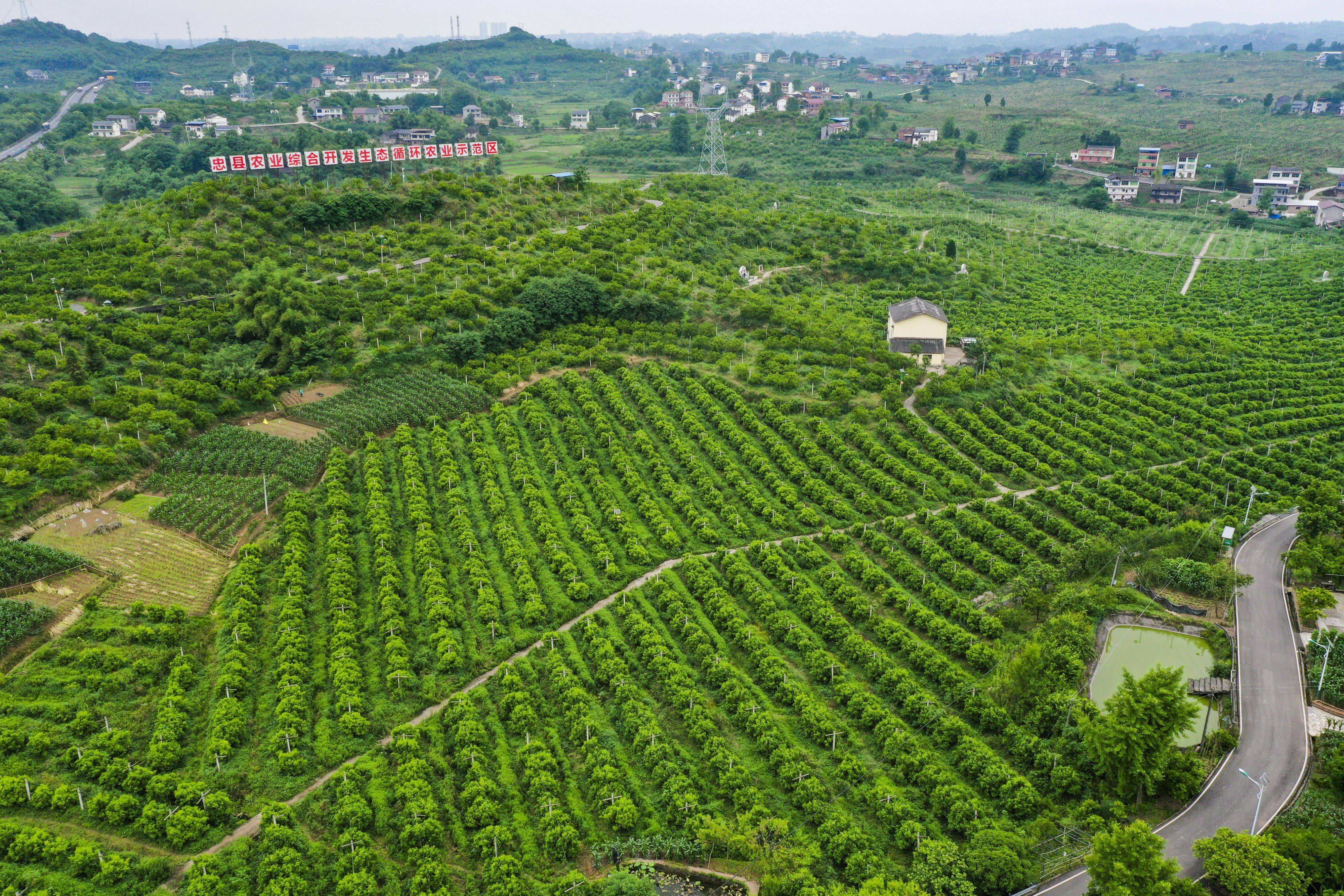 重庆忠县国家级田园综合体助推农业高质量发展