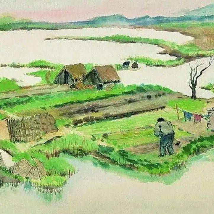 才了麦菜又插田_油菜_三五_水田