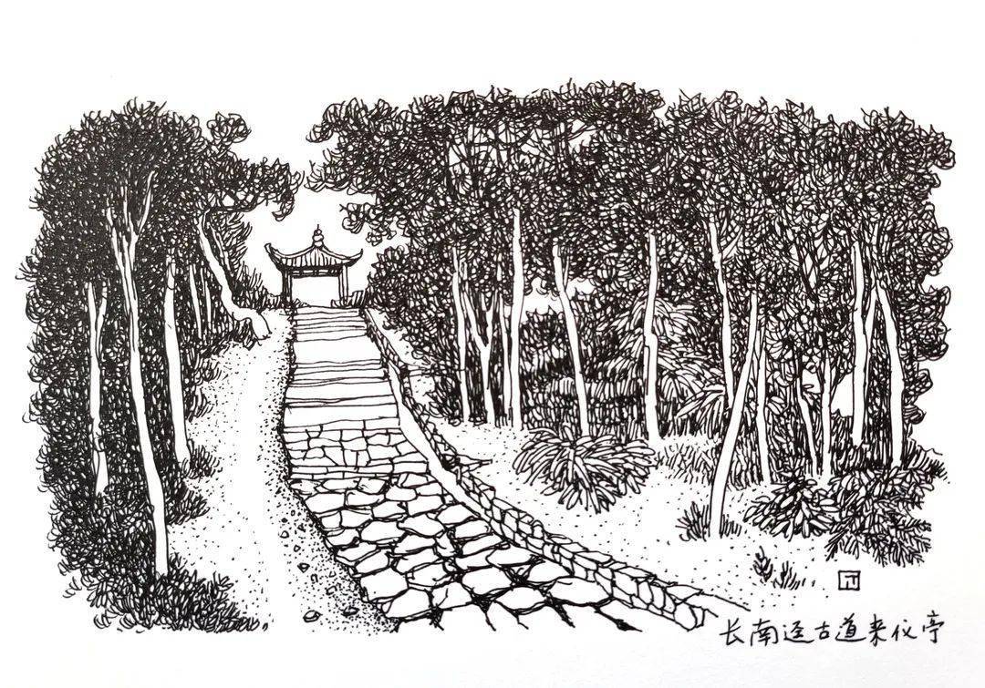 曲径通幽处,珠海三百年前的这份温情依旧动人_长南_古道_保护