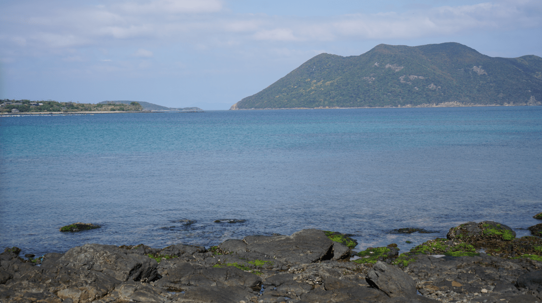 回到小岛的人们_麻纪_中华街_贺岛