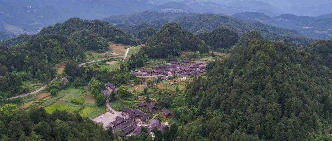 大竹:天然氧吧 避暑天堂_大竹村_森林_务川