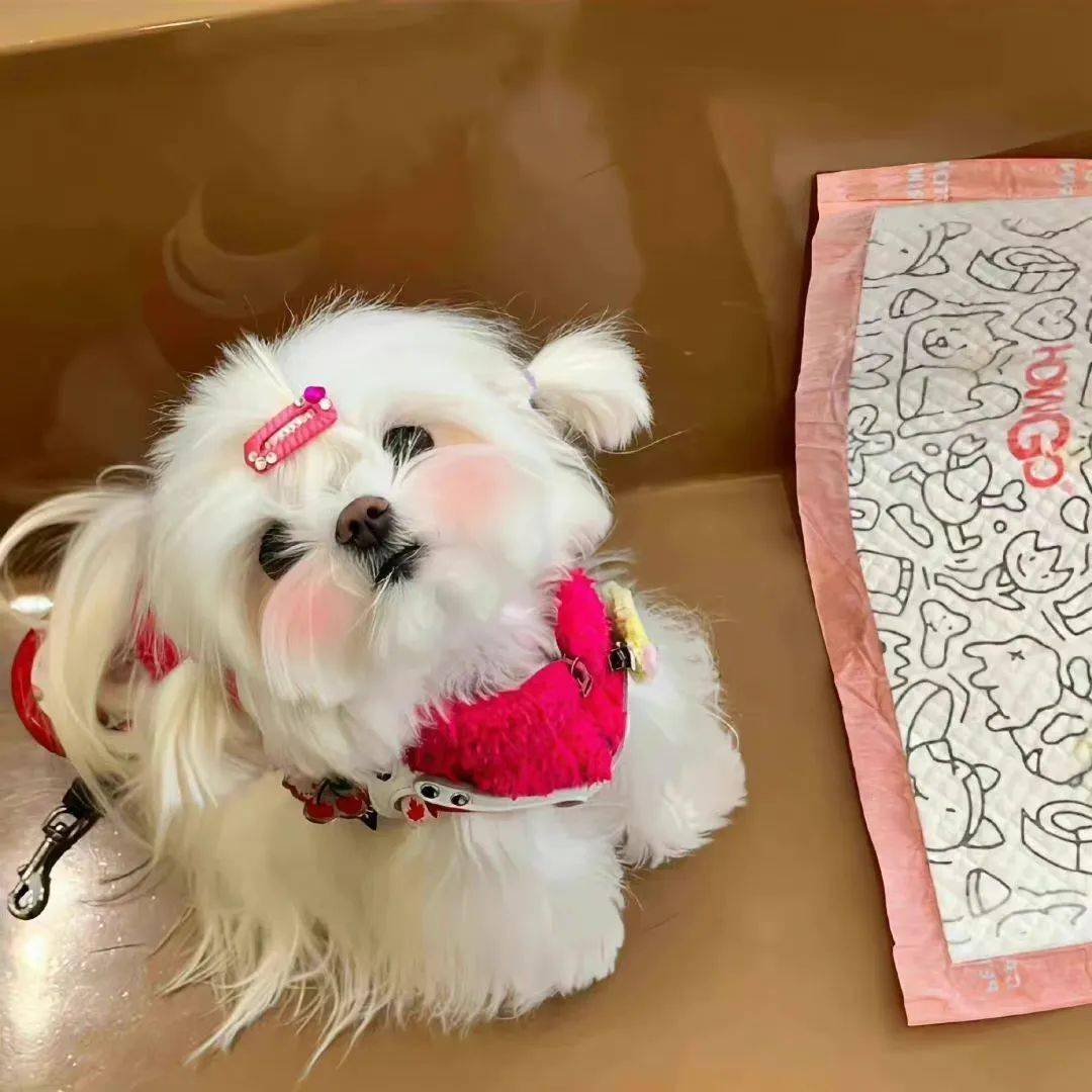 头像| 高级ins微信头像来辽 ~_头像_ins_微信