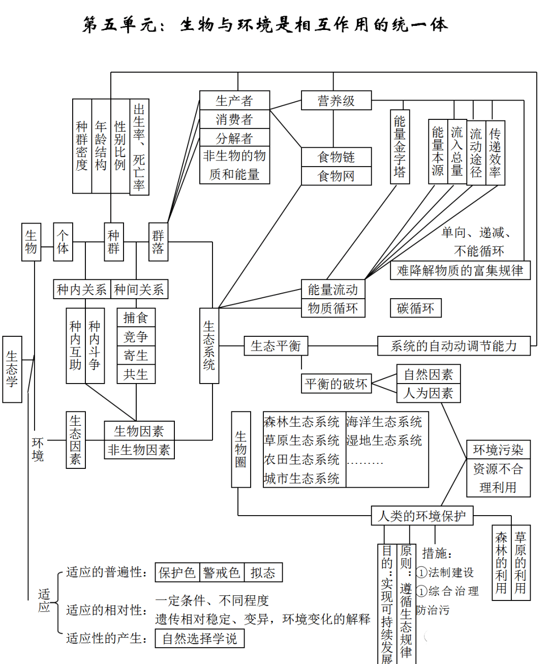 高考生物高中生物知识点思维导图汇总