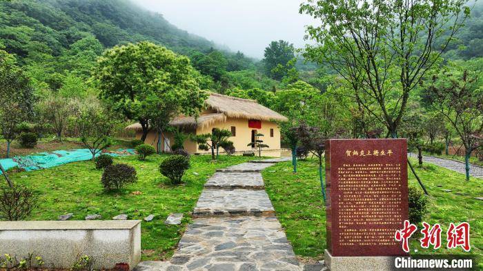 湖北江家湾村红色基因点亮乡村振兴之光