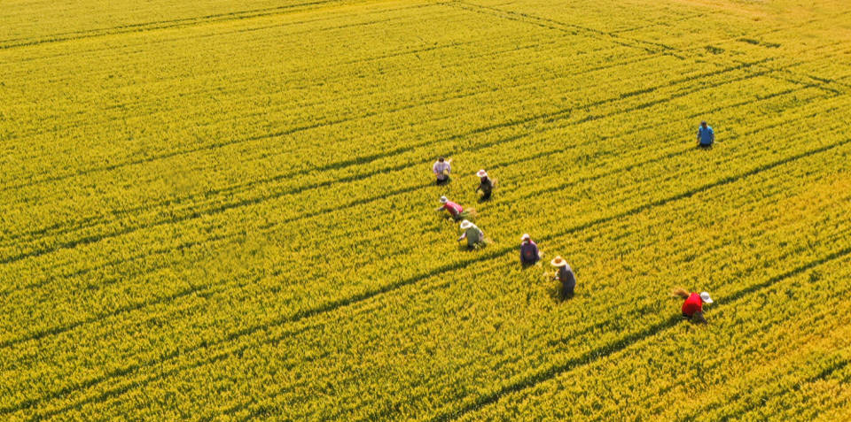 通讯员 董乃德 张统琦 李江涛 记者 付玉成