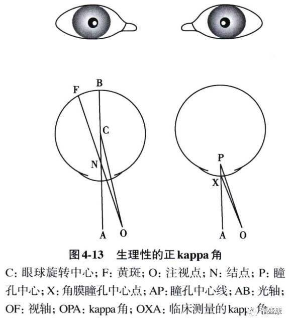 角膜反射弧图片