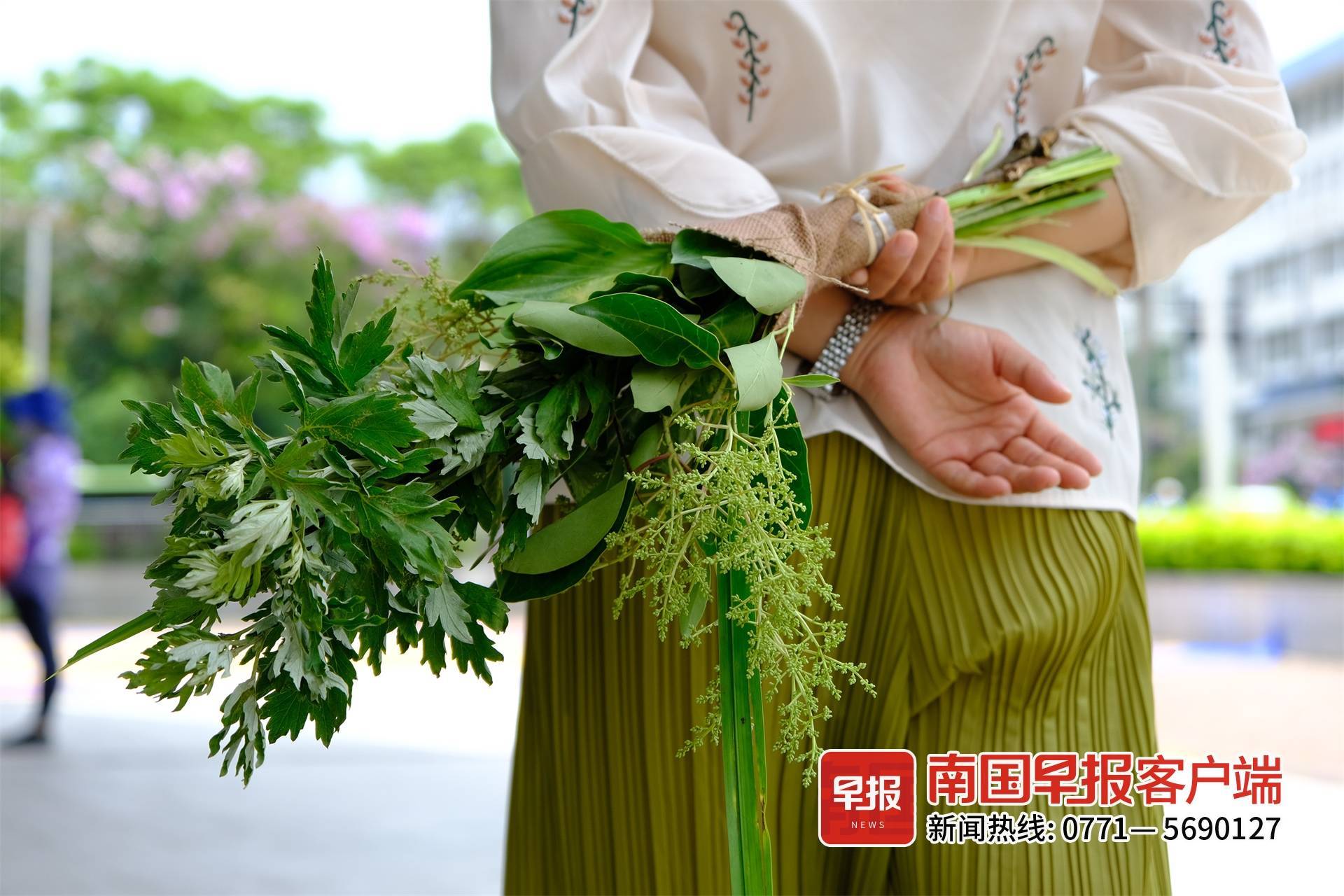 晚安十点 22 5 29 花束 菖蒲 尹世斌