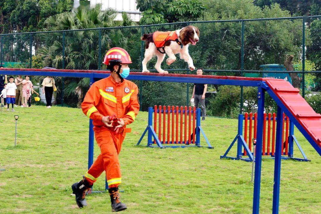 别样"六一 粉丝进站体验消防 探秘泉州消防搜救犬基地