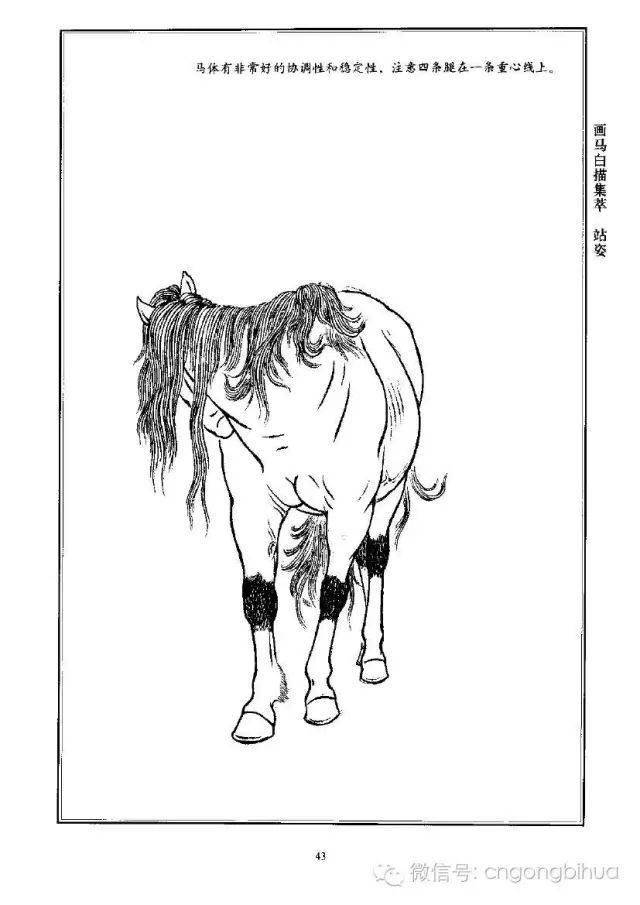 画马白描集萃