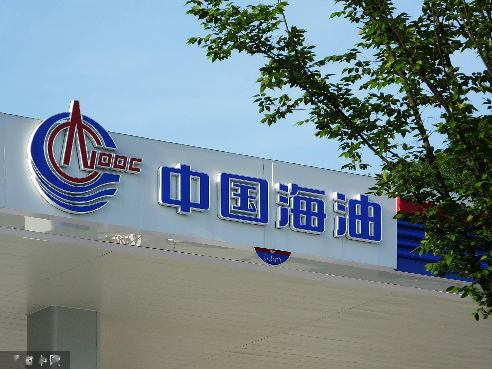 中国海油首季大赚343亿首超中国石化市值8800亿紧追中国石油