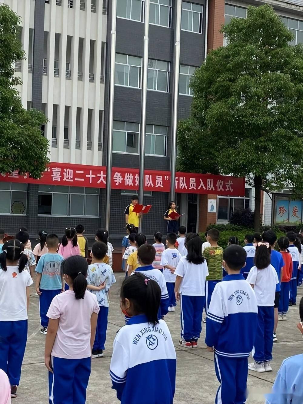 桃源县文星小学181名新队员光荣加入中国少年先锋队