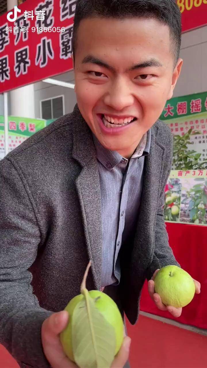 四季梨你喜欢你吗三农