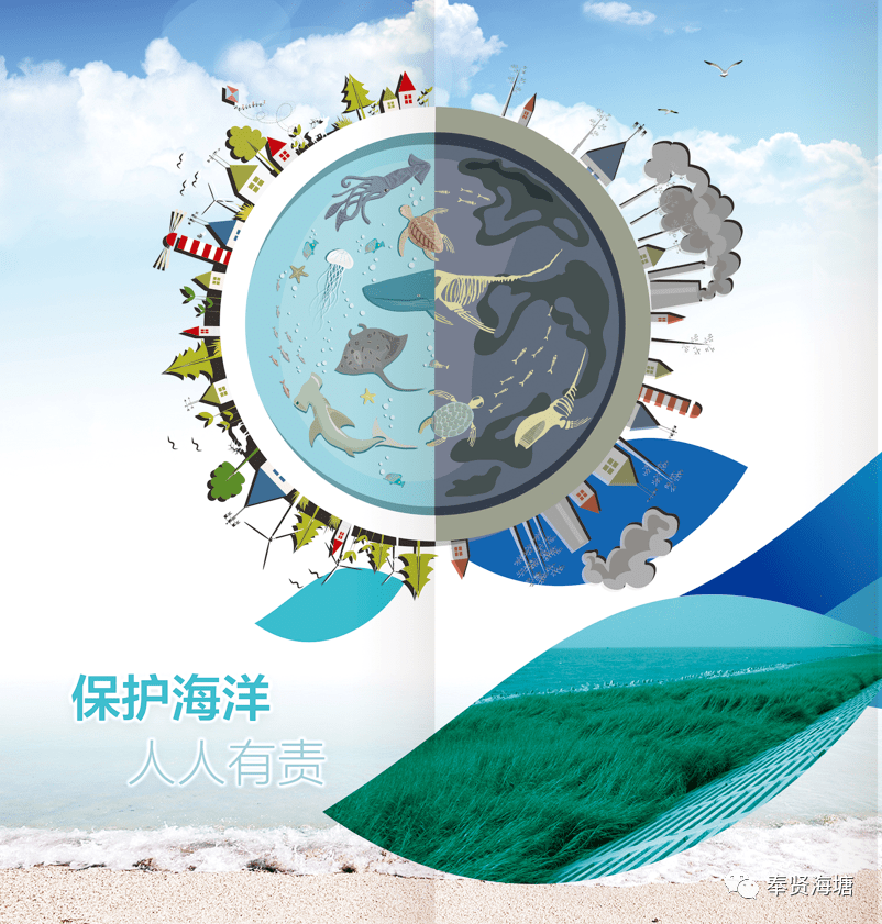 海洋"系列科普短视频由自然资源部第二海洋研究所的专家学者倾情出镜