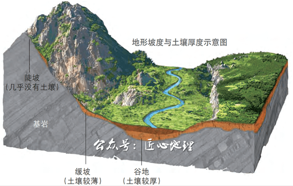 生物,气候,地形和时间等,它们共同控制着土壤的发育和土壤性质