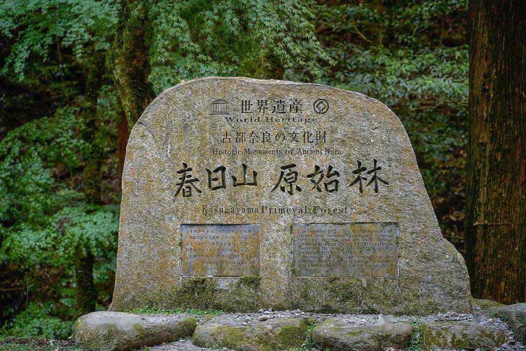 古都奈良的世界文化遗产