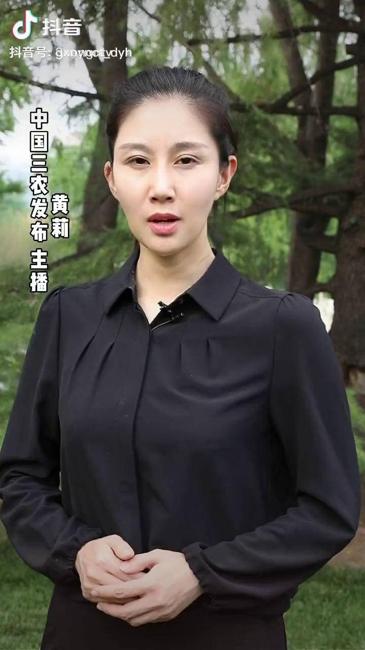 秋露 冬雪守候水稻梦(来源:中国三农发布 主播:黄莉)_夏雨_冬雪_水稻