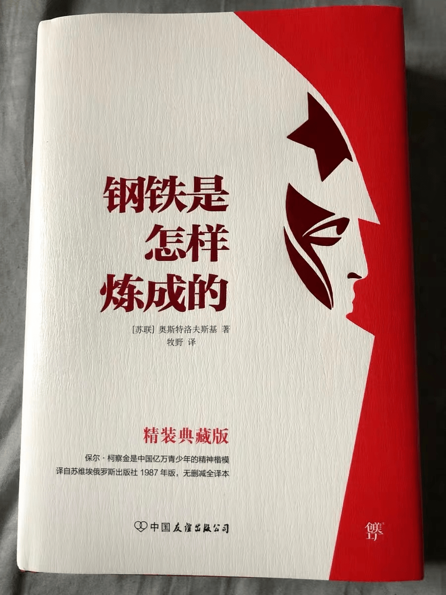 在逆境中前行—读《钢铁是怎样炼成的》有感_保尔_挫折_成功