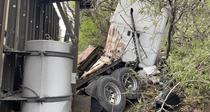今日最大网红一坨粉色大肉泥