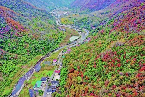 秦嶺之心 綠都寧陝 邀你賞山水避暑遊_鄉村旅遊_縣城_度假區