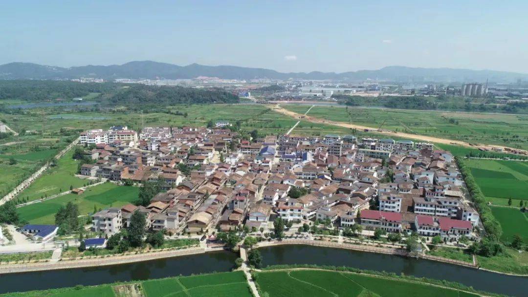 喜报热烈祝贺珠珊镇花田村荣获第二届江西省学雷锋文艺志愿服务时代