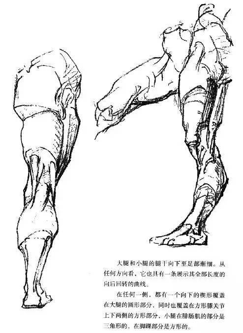 伯里曼人体结构绘画教学