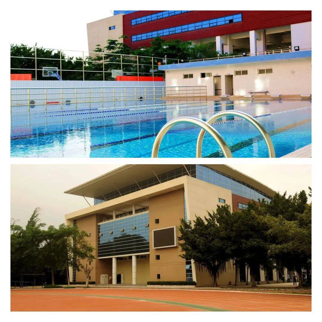 惊喜深圳这所77年老牌名校里藏着一座公园背后实力让人羡慕