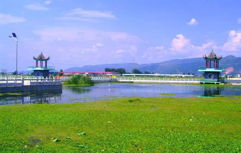 陆良白水塘风景区图片