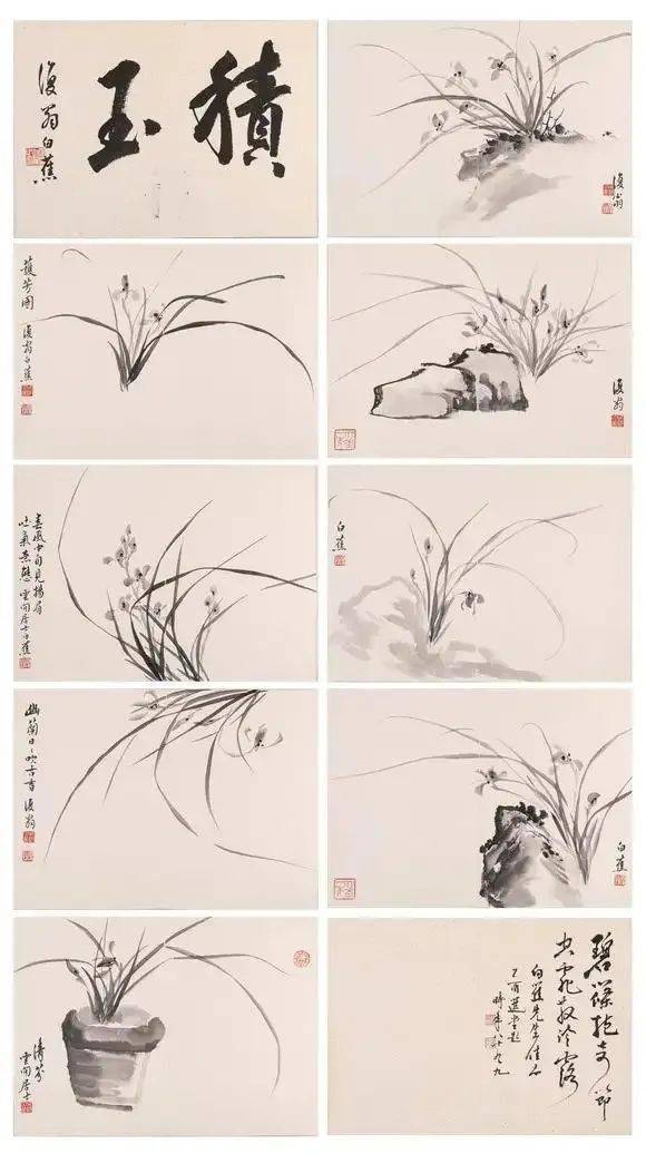 白蕉画兰 ,百看不厌_兰花_书法_上海