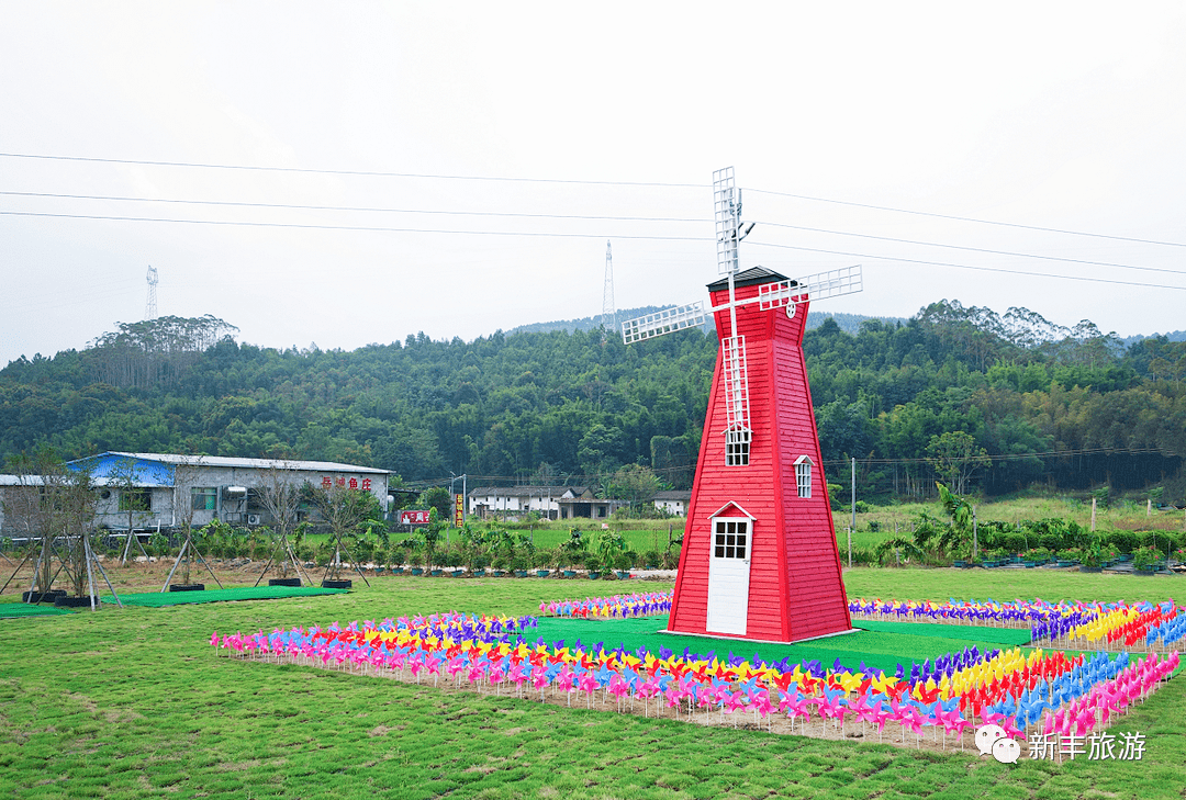 端午游新丰美好接粽而至