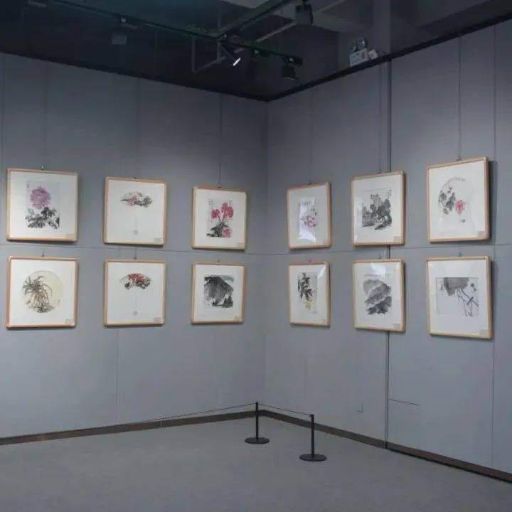 端午来大理看展吧!就在州群艺馆,展期至6月16日_洱源_摄影_作品展