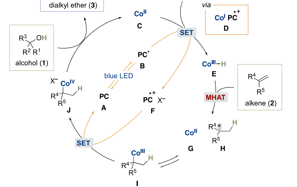 光化学反应条件助力williamson醚合成法无法实现的大位阻醚的制备