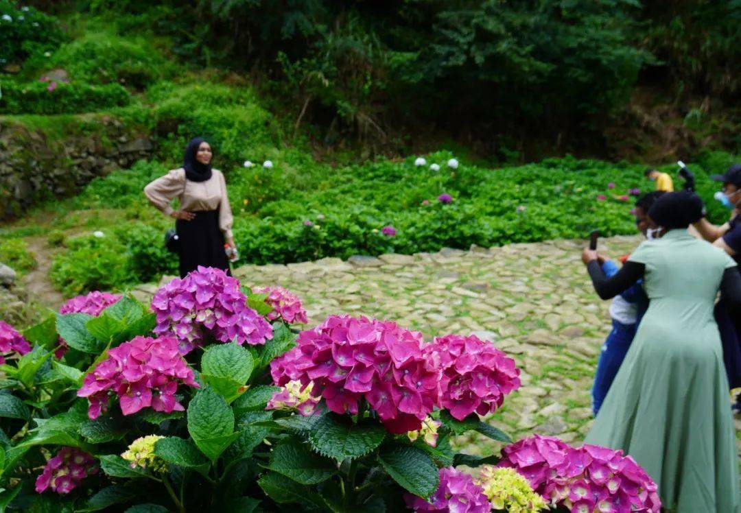 鼓岭太热闹 中外游客是这样 花 式过端午的 活动 长田溪 插花