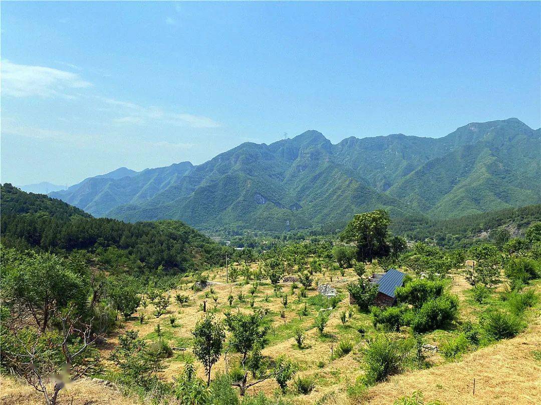 四川望龙山樱桃沟图片