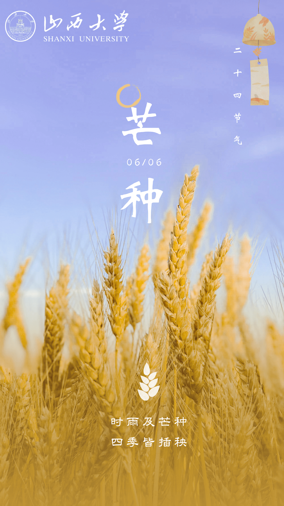 今日芒种_收获_未来