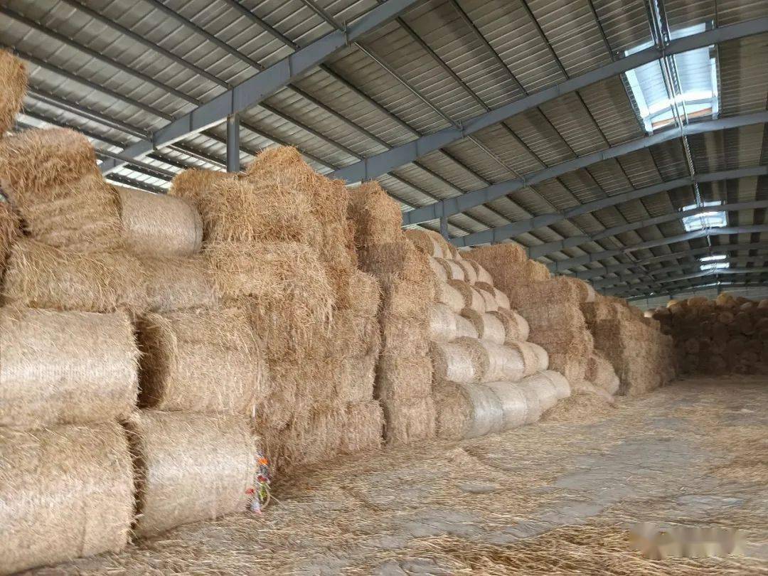 怀远标准化收储中心让秸秆逆袭生金