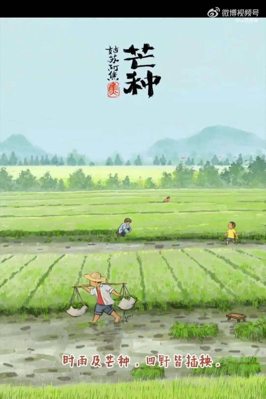 闪闪发光金黄色的麦芒干酥透亮便成长为北方人口中的"麦芒"芒种一到